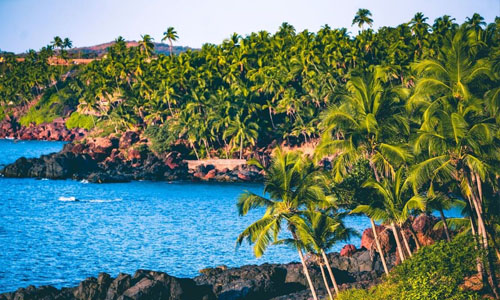 Delhi - Goa Culture Heritage & Beaches Tour - 6 Days